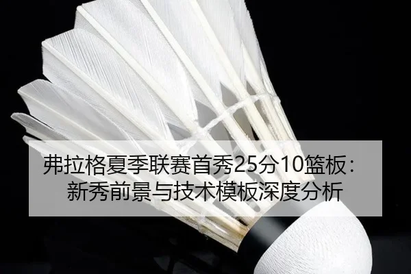弗拉格夏季联赛首秀25分10篮板：新秀前景与技术模板深度分析